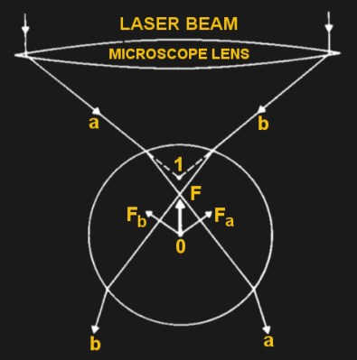 Explanation of ray optics for optical tweezers